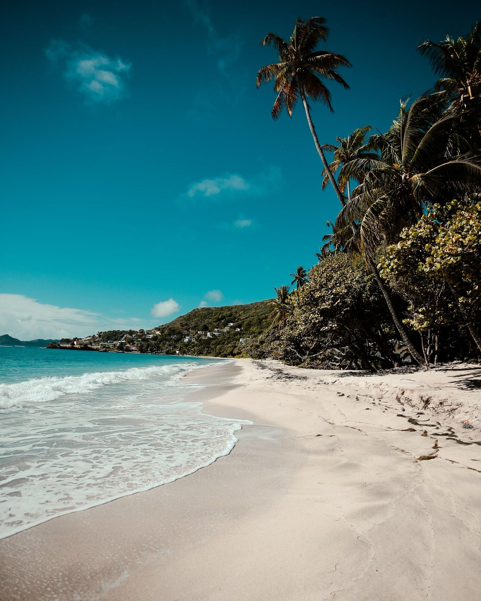 Bequia Beach Port Elizabeth Exteriör bild